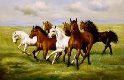 unknow artist Horses 025 Sweden oil painting artist